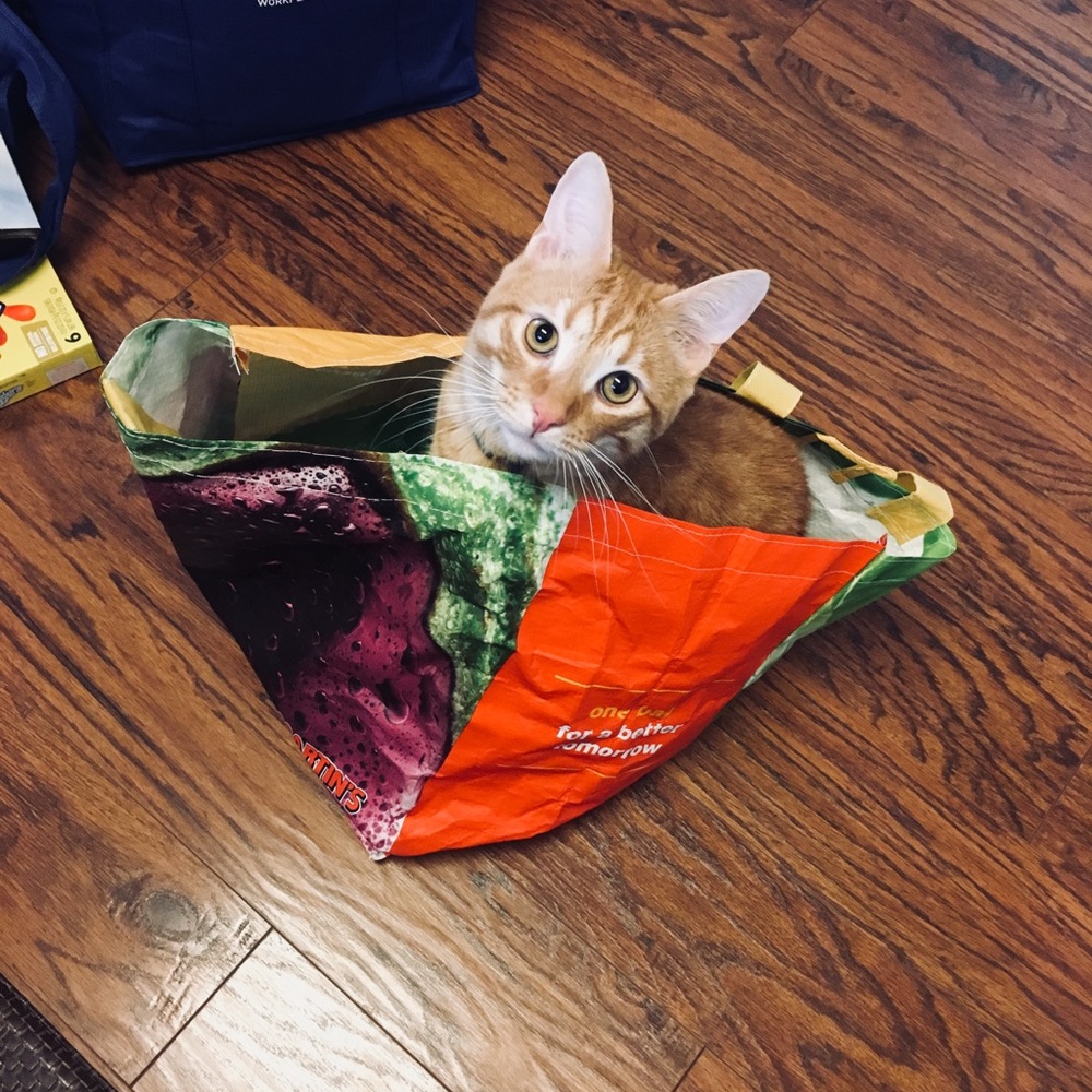 Meet your Posher, Jason